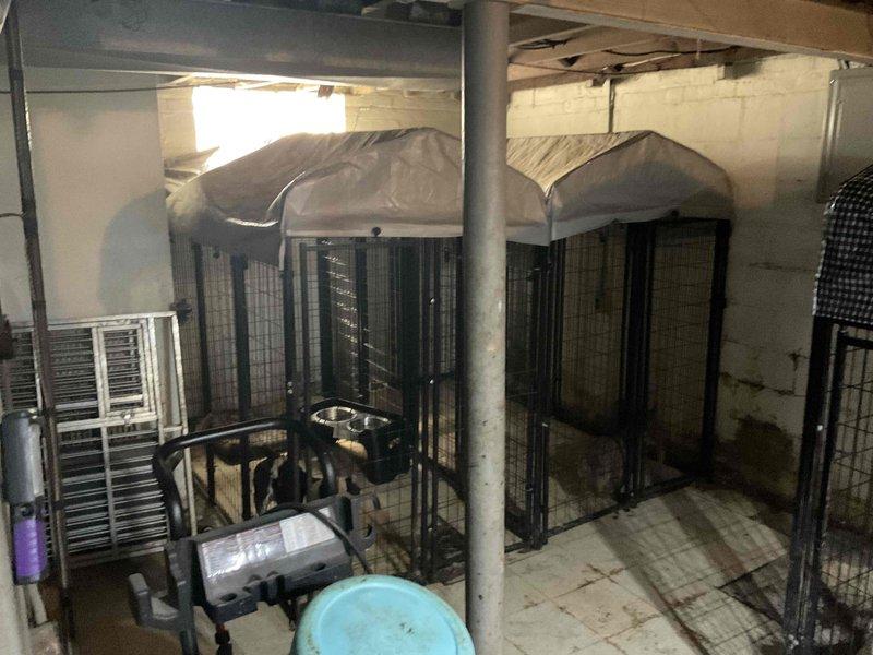 Conducted estimate for furnace replacement in owner-occupied residence. Current unit is of unknown age, located in basement/garage area with visible ductwork and adjacent mechanical systems. Homeowner requested replacement timeline of 30-60 days.
