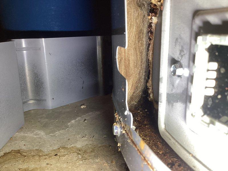 Diagnosed 5-year-old State ProLine water heater with active tank leak from bottom seam, evidenced by significant corrosion buildup. Visual inspection confirmed terminal tank failure requiring complete replacement; temporary measures not viable due to compromised tank integrity. Documented condition with photos for customer reference and warranty purposes.