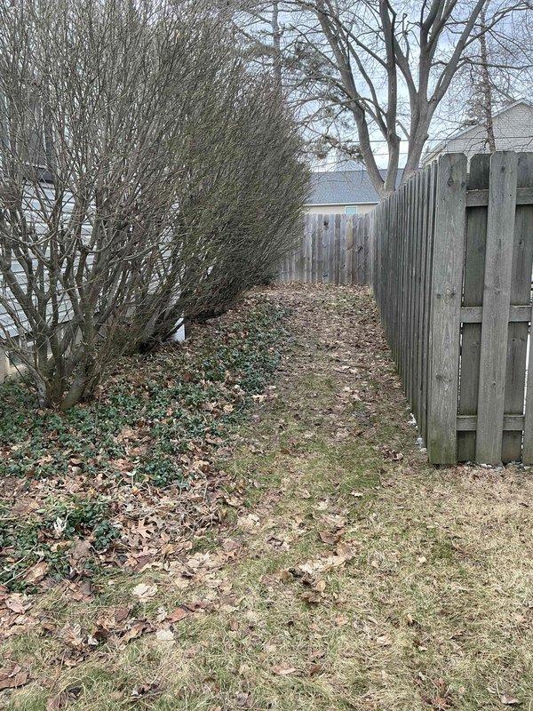 Conducted comprehensive evaluation of 16-year-old HVAC system including furnace and air conditioning unit. Documented existing galvanized metal furnace with attached humidifier, ductwork configuration, and drainage setup. Assessed outdoor unit placement constraints between fence and vegetation. Recommended full system replacement based on age and customer's desire for proactive replacement before failure occurs.