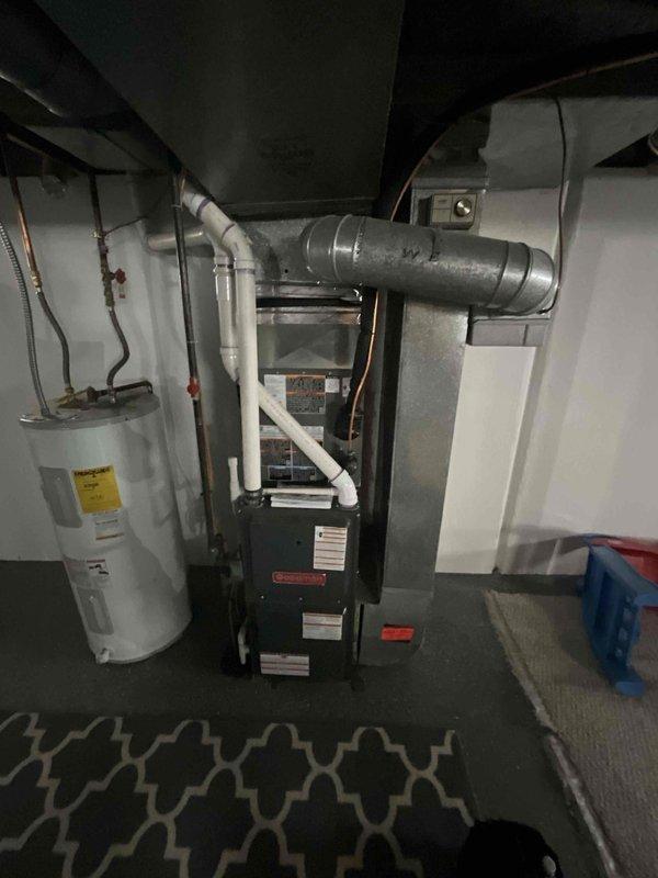 Conducted assessment of existing GE water heater installed in residential basement utility area. Noted proper copper pipe connections and placement adjacent to Goodman furnace system. Documented CA LEAD03/164-6 HWT installation with anticipated replacement timeline of 09/2025.