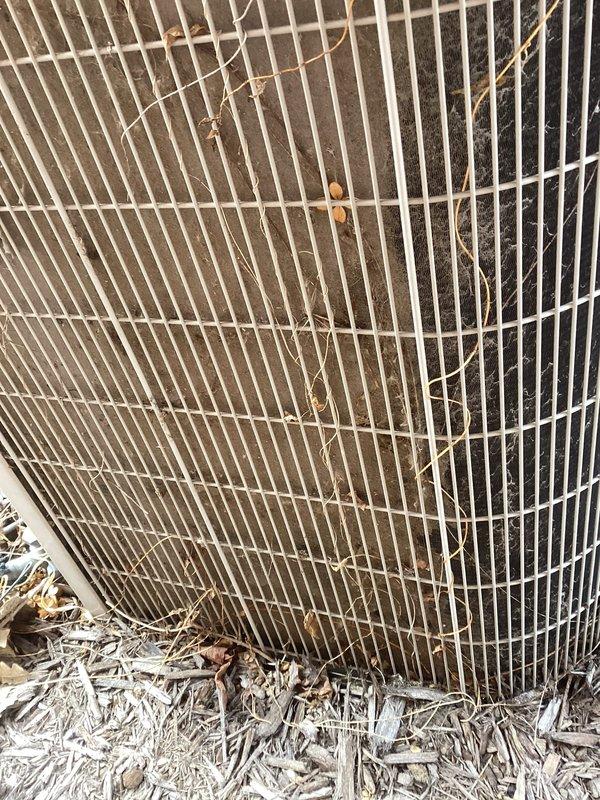 Performed annual cooling system maintenance on an air conditioning unit. Identified significant debris and dirt accumulation on the condenser coil that was restricting proper airflow. Cleaned the outdoor unit, removing all debris from the protective grille and surrounding area, and provided customer with an estimate for air scrubber/purifier options as requested.