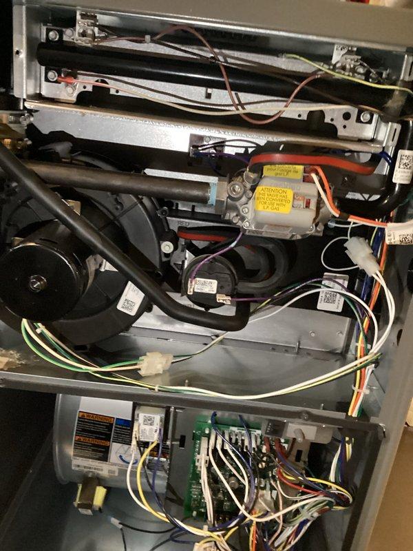 Performed annual furnace maintenance on 10-year-old system. Conducted comprehensive inspection of internal components including circuit board connections, motor assembly, and wiring. All components functioning properly with no issues identified; system is operating at optimal efficiency for continued reliable operation.