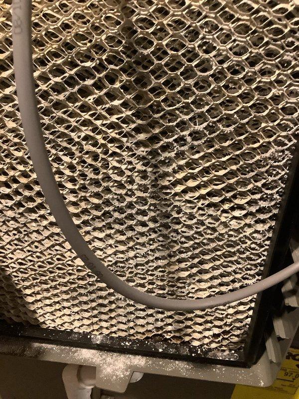 Performed annual maintenance on furnace system. Inspected burner assembly confirming proper blue flame pattern and clean combustion. Examined evaporator coil which showed some dust accumulation along the lower portion; recommended regular filter changes to prevent further buildup.