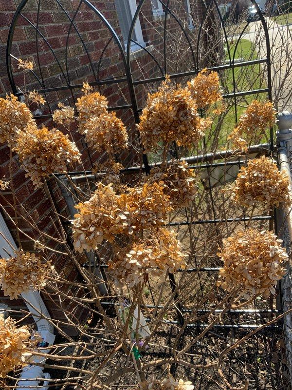 Conducted comprehensive assessment of 15-year-old AC and furnace system for potential replacement under promotional offer. Documented existing installation in utility room, noting current configuration of furnace with connected ventilation ductwork adjacent to water heater. Customer is prepared to proceed with full system replacement as quoted in estimate #126460-04.