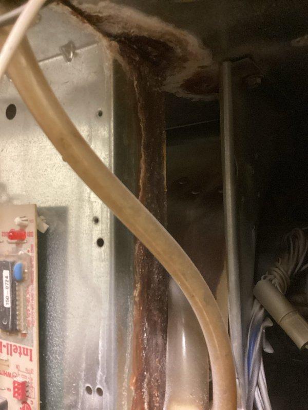 # HVAC Service Report - No Heat Call

Responded to a commercial no heat service call. Upon arrival, performed diagnostic inspection of the HVAC system. Accessed interior compartments and conducted visual assessment of all major components including blower motor assembly, electrical connections, and control systems. 

Inspection revealed significant dust and debris accumulation throughout the unit, particularly on the blower motor housing, fan assembly, and base panels. The blower motor showed evidence of extended operation with visible dirt buildup on the motor casing and surrounding metal surfaces. Examined all electrical connections, wiring harnesses, and control components for proper function and integrity. Verified system pressure gauges and refrigerant lines. Checked motor mounting, belt alignment (if applicable), and all mechanical connections.

Documented equipment condition through photographic evidence showing interior components, blower assembly, control panels, and overall s