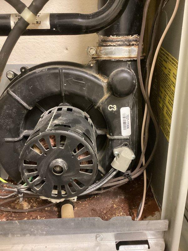 # HVAC Service Report - No Heat Call

Responded to a commercial no heat service call. Upon arrival, performed diagnostic inspection of the HVAC system. Accessed interior compartments and conducted visual assessment of all major components including blower motor assembly, electrical connections, and control systems. 

Inspection revealed significant dust and debris accumulation throughout the unit, particularly on the blower motor housing, fan assembly, and base panels. The blower motor showed evidence of extended operation with visible dirt buildup on the motor casing and surrounding metal surfaces. Examined all electrical connections, wiring harnesses, and control components for proper function and integrity. Verified system pressure gauges and refrigerant lines. Checked motor mounting, belt alignment (if applicable), and all mechanical connections.

Documented equipment condition through photographic evidence showing interior components, blower assembly, control panels, and overall s