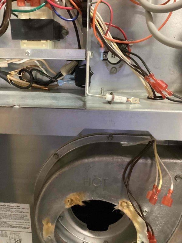 # HVAC Maintenance - AHM Service Report

Completed annual heating maintenance tune-up on residential furnace system as part of Air Care Membership coverage. Performed comprehensive inspection of all heating components, including visual examination of electrical connections, wiring assemblies, and control systems within the unit cabinet. Verified proper wire terminations with secure wire nut connections throughout the electrical compartment, inspecting green ground wires, line voltage wiring, and low voltage control circuits for signs of wear or damage.

Conducted thorough assessment of the blower assembly and associated components, examining the circular blower housing and motor mounting assembly for proper alignment and secure fastening. Inspected all visible electrical components including capacitors, relays, and control boards for signs of overheating, corrosion, or deterioration. Verified integrity of all wire bundling and routing to ensure proper clearances from hot surfaces and m