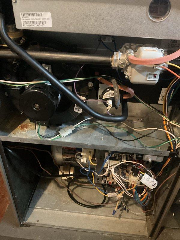 Completed annual furnace maintenance tune-up as part of preventative care membership. Performed comprehensive inspection of all internal components including blower motor assembly, gas valve, ignition system, and electrical connections. All systems tested and operating within normal parameters with no issues identified.