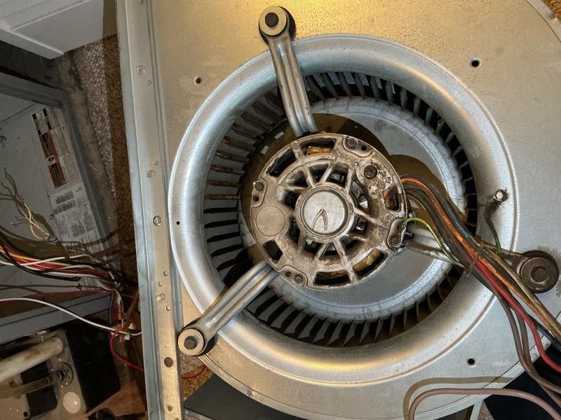 Responded to callback for furnace short cycling and loud squeaky blower noise. Accessed unit in closet location and inspected blower motor assembly. Found blower motor bearings worn and causing excessive noise during operation, contributing to equipment short cycling and inadequate heating. Disassembled blower assembly, removed defective motor, and installed replacement blower motor with proper electrical connections. Tested system operation, verified proper airflow, and confirmed furnace heating cycle completed without noise or short cycling issues.