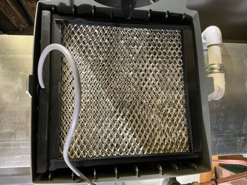 Completed annual furnace maintenance and tune-up on 10-year-old heating system under Air Care Membership. Performed comprehensive inspection of furnace components, cleaned and serviced humidifier evaporator pad assembly showing mineral deposits, verified proper operation of water supply and drain lines, and inspected outdoor AC condenser unit. All systems tested and operating within normal parameters.