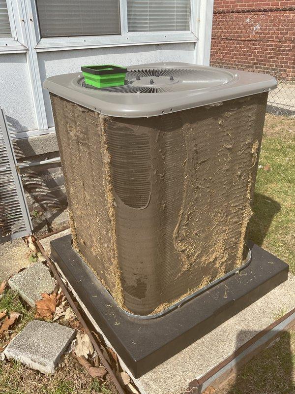 # HVAC Maintenance - ACM Completed

Performed comprehensive annual cooling maintenance on residential air conditioning system. Conducted thorough inspection of outdoor condenser unit, which exhibited significant accumulation of dirt, dust, and organic debris on exterior surfaces and cabinet panels. Cleaned condenser coils and exterior housing to restore proper airflow and heat transfer efficiency. 

Replaced furnace filter and humidifier pad as part of scheduled maintenance protocol. Inspected electrical connections, refrigerant levels, and operational performance of the condensing unit. Verified proper fan motor operation and checked for any unusual vibrations or noise. Cleared debris from base pad area and ensured adequate clearance around unit for optimal airflow.

System tested and confirmed operating within normal parameters. Unit returned to full operational status with improved efficiency following cleaning and component replacements.