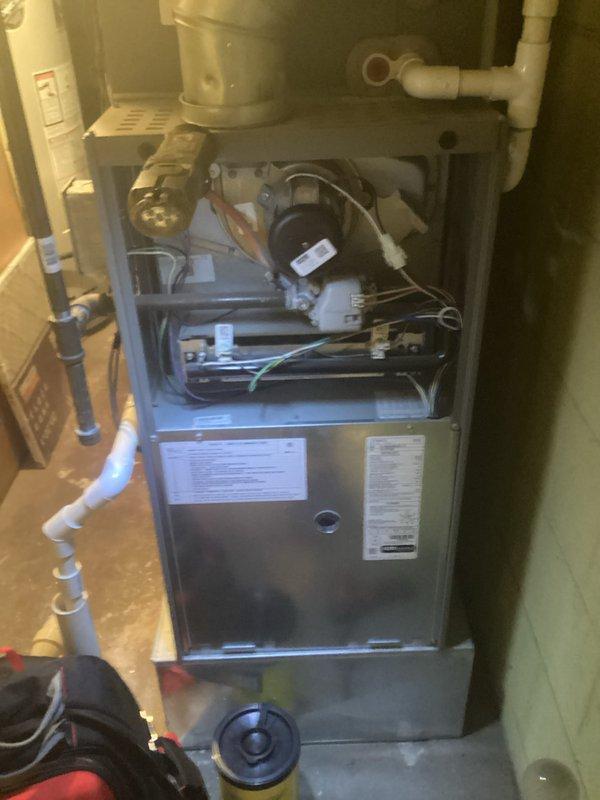 Responded to no-heat call on 9-year-old forced air furnace with burner ignition failure. Upon arrival, confirmed unit would not maintain flame and burners would not stay lit. Removed front access panel and performed diagnostic testing of gas valve, flame sensor, and ignition system using multimeter. Inspected burner assembly and heat exchanger for proper operation. Identified flame sensor rod with heavy carbon buildup and oxidation preventing proper flame rectification signal. Removed and cleaned flame sensor using emery cloth to restore conductivity. Verified proper gas pressure at manifold and tested ignition sequence. Confirmed burner ignition, flame establishment, and sustained operation through multiple heating cycles. Reinstalled access panel and restored unit to full heating operation.
