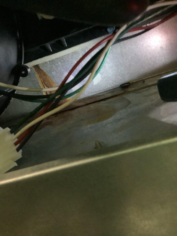 Responded to no heat call on 15-year-old Lennox forced air furnace with thermostat power issue. Upon inspection, found electronic thermostat screen blank indicating loss of power to control circuit. Diagnosed faulty control board in furnace causing intermittent power supply to thermostat. Inspected wiring connections and circuit board terminals for proper voltage and continuity. Additionally noted customer reported water heater leaking at 12 years old requiring separate attention. Furnace system restored to operational status with thermostat receiving proper power.
