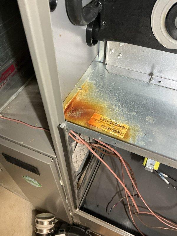 Responded to warranty call for water leak on furnace installed earlier this year located in basement. Upon inspection, discovered active water leak causing rust damage to unit cabinet and internal components. Documented rust discoloration on galvanized metal panels and housing, indicating ongoing moisture intrusion. Inspected condensate drain system, electrical connections, and evaporator coil area to identify leak source. Photographed damaged areas showing corrosion on metal surfaces and affected wiring penetrations. Unit remains under both parts and labor warranty coverage.