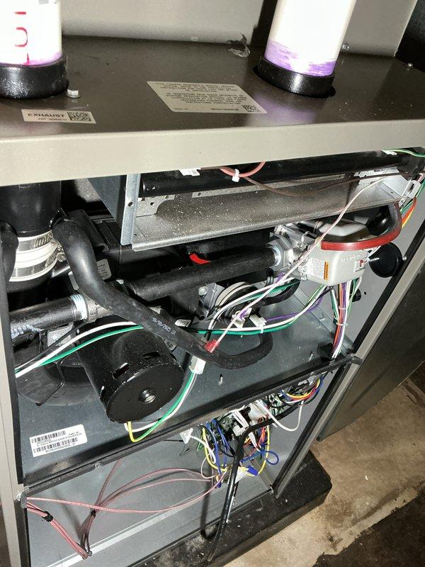 Completed annual furnace heating maintenance as part of membership plan on a new furnace installation (0 years old). Performed comprehensive tune-up including inspection of all internal components, burner assembly, heat exchanger, blower motor, electrical connections, and wiring harnesses. Verified proper operation of gas valve, ignition system, and safety controls. Checked and documented outdoor heat pump unit condition, refrigerant line connections, and electrical disconnect. All systems operating within normal parameters with no deficiencies noted. Unit photographed for service records.