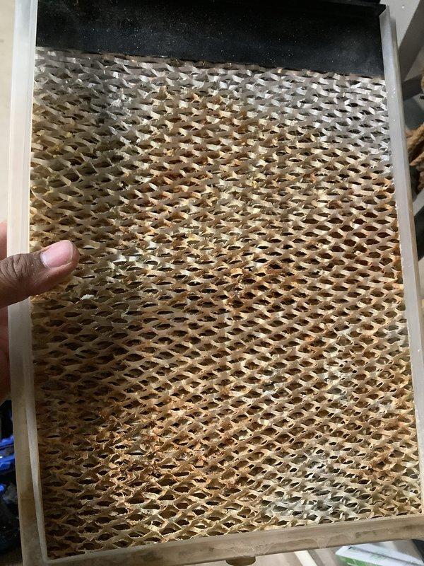 Completed scheduled Air Care Heating and Cooling maintenance service. Inspected and replaced furnace air filter which showed significant dust and particulate accumulation throughout the pleated media. Examined evaporative cooler pad, noting mineral deposits and moisture staining on the honeycomb corrugated material; pad remains serviceable with adequate airflow capacity. Both heating and cooling systems operational and ready for continued use.