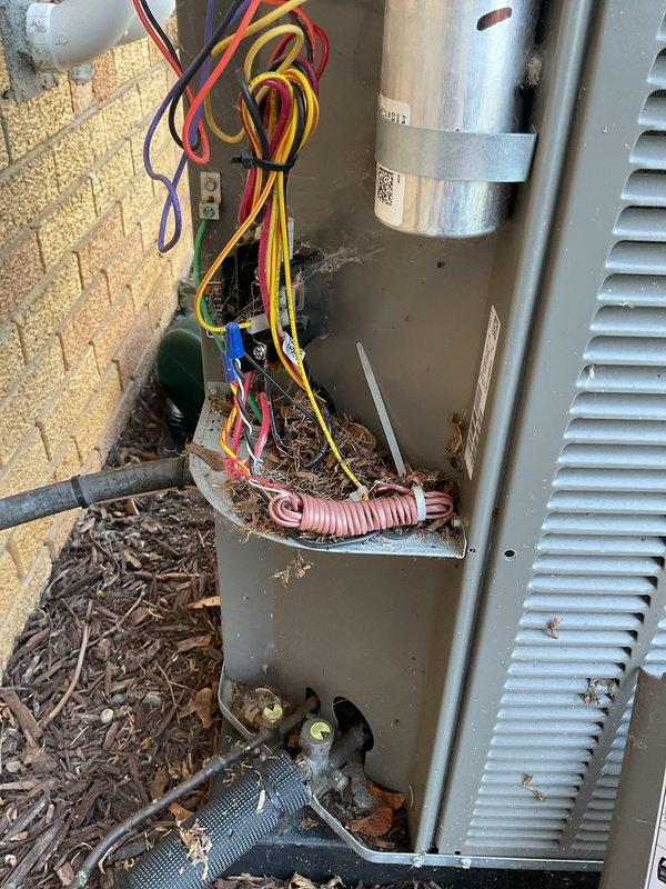 Responded to no-cooling call on 10-year-old central air conditioning system. Upon inspection, found outdoor condensing unit with significant corrosion and rust on dual run capacitor and electrical connections. Removed access panel and discovered debris accumulation inside unit compartment including leaves and organic material. Tested capacitor with multimeter and confirmed failure with readings outside manufacturer specifications. 

Cleaned debris from condenser unit interior and removed failed capacitor. Installed new dual run capacitor with proper MFD rating for compressor and condenser fan motor. Cleaned and tightened all electrical connections at contactor and capacitor terminals. Verified proper voltage at disconnect and tested contactor operation. Inspected refrigerant lines and coil for damage - copper tubing showed normal wear but no leaks detected.

Energized system and confirmed compressor and condenser fan motor startup. Measured amp draw on both motors within normal operati
