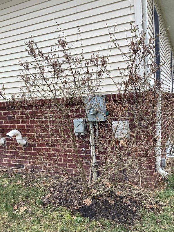 Conducted on-site evaluation for new whole-home Kohler generator installation. Assessed existing electrical service panel location on exterior brick wall with current conduit routing, and inspected interior main electrical panel in basement to determine integration requirements for automatic transfer switch installation.