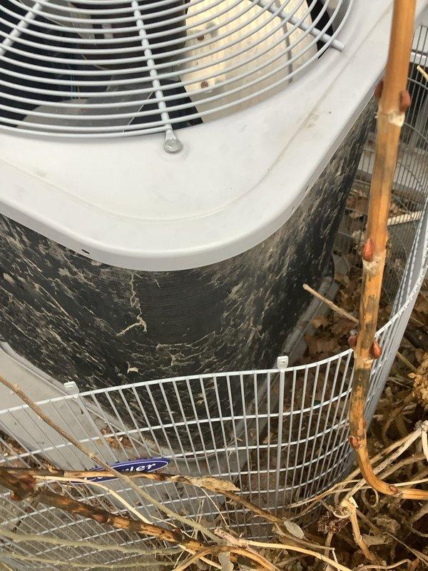 Completed scheduled preventative maintenance on outdoor air conditioning condenser unit. Upon arrival, found unit operational but with significant accumulation of dirt, debris, and organic matter on exterior surfaces and protective wire cage. Inspected all accessible components including fan assembly, refrigerant lines, and electrical connections. Cleaned condenser coils, removed debris from surrounding area and wire guard, and verified proper airflow through fan grille. Checked refrigerant line insulation and electrical connections for integrity. Unit tested and confirmed operating within normal parameters upon completion of maintenance service.