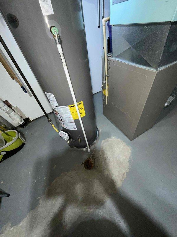 Conducted comprehensive assessment of aging 1993 natural gas furnace and air conditioning system located in basement for replacement estimate. Current equipment operational but nearing end of serviceable life at 33 years old. Evaluated existing HVAC installation, ductwork configuration, and mechanical room layout. Documented equipment specifications, clearances, and noted moisture staining on concrete floor near water heater, which may require attention during installation. Provided recommendations for complete furnace and air conditioning system replacement with modern high-efficiency equipment.