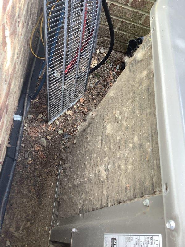 Completed final ComfortGuard maintenance visit on dual outdoor AC condenser units. Performed comprehensive inspection of both condensing units, including evaluation of cooling fins which showed accumulation of dirt and debris, checked fan guards, assessed electrical connections, and verified proper operation of all components. Documented equipment condition with photographs showing units positioned on concrete pad with natural debris accumulation from surrounding vegetation and tree roots, confirming maintenance completion for this recurring service agreement.