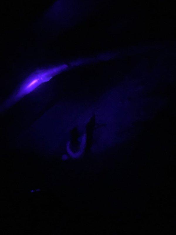 Returned to property for follow-up diagnostic on refrigerant leak concern. Utilized Fieldpiece SMAN manifold gauge set to measure system pressures and temperatures, recording readings of 59.5 PSIG low side and 133.9 PSIG high side with superheat analysis. Performed UV leak detection inspection using blacklight to identify fluorescent dye traces indicating potential leak points in the system. Senior technician conducted comprehensive evaluation to determine root cause of ongoing refrigeration issue and provided technical findings to address customer concerns.