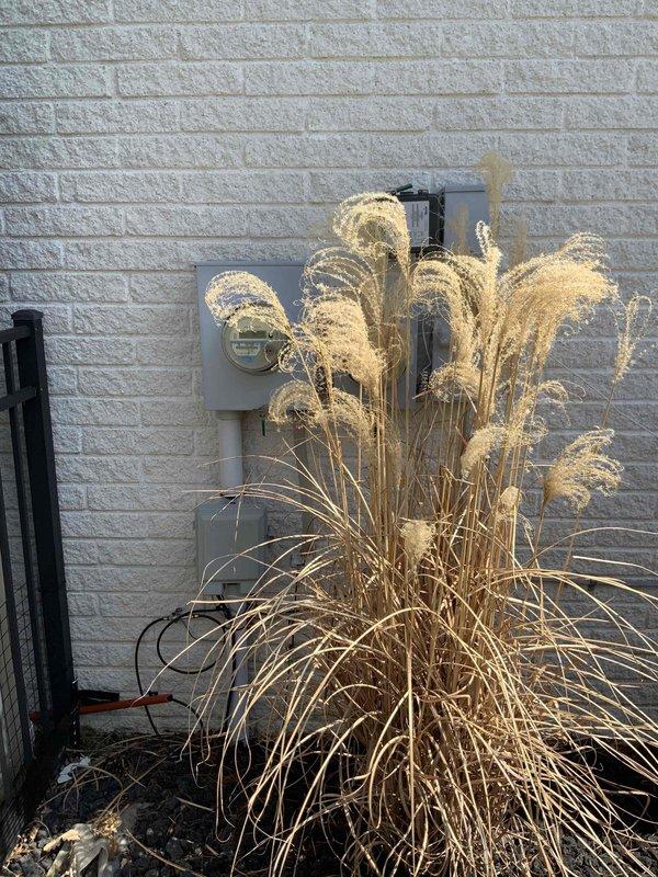 Conducted comprehensive site assessment for full HVAC system replacement including both heating and air conditioning units. Evaluated existing equipment location at exterior wall-mounted condenser unit and interior basement furnace installation, documented electrical service panel configuration and current system setup, and assessed accessibility for equipment replacement. Provided detailed estimate for complete system upgrade with customer requesting installation within one month timeframe.