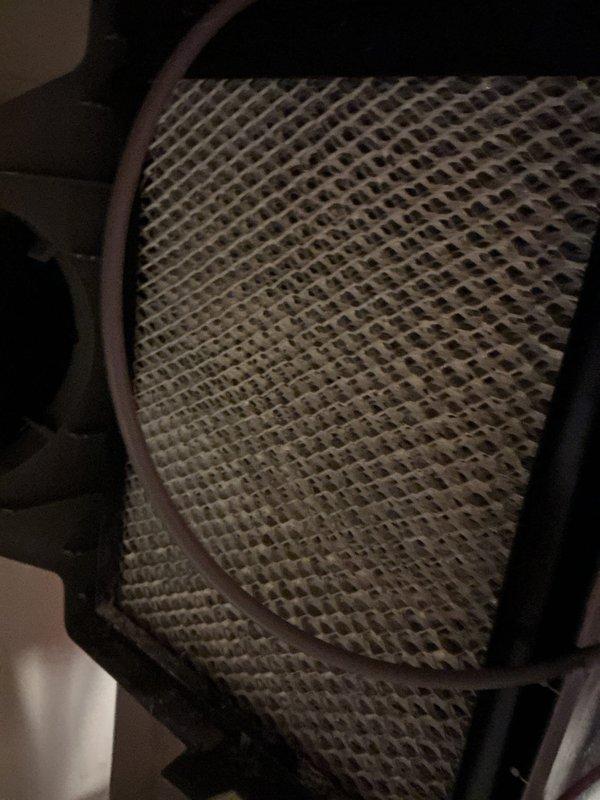 Completed annual cooling maintenance on residential split system. Replaced dirty air filter showing moderate dust accumulation and installed new evaporative cooler pad. Inspected exterior unit at building foundation, verified proper operation of all components, and documented system condition with photos.