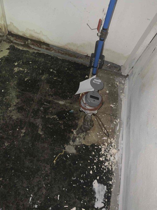 Conducted comprehensive assessment of basement HVAC system for replacement estimate. Evaluated existing natural gas furnace and air conditioning equipment, noting operational status and configuration within basement mechanical room. Documented significant environmental concerns including extensive moisture damage and biological growth on floor surfaces surrounding equipment area, which will require remediation prior to new system installation. Photographed existing equipment layout, ductwork connections, electrical components, and plumbing configurations to develop accurate replacement specifications and ensure proper sizing for new high-efficiency system.