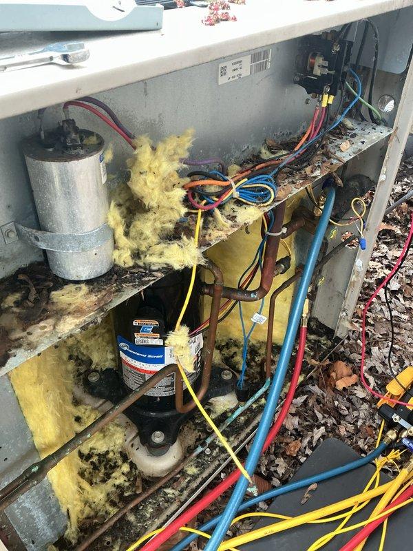 # HVAC Maintenance - ACM Completed

Performed annual preventive maintenance on two outdoor air conditioning units. Upon initial inspection, discovered significant debris accumulation, deteriorated insulation, and biological contamination within both units requiring extensive cleaning beyond standard maintenance protocol.

## Work Performed:

**Unit Inspection & Assessment:**
- Removed access panels and conducted thorough visual inspection of internal components
- Documented heavy debris buildup including leaves, twigs, organic material, and dirt accumulation in base compartments
- Identified compromised yellow fiberglass insulation with dark staining, water damage, and deterioration
- Noted discoloration on interior surfaces indicating moisture intrusion and possible mold growth
- Assessed electrical connections and wiring integrity throughout contaminated areas

**Cleaning & Debris Removal:**
- Extracted substantial organic debris from unit base and interior compartments
- Cleaned acc