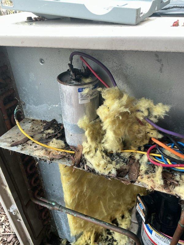 # HVAC Maintenance - ACM Completed

Performed annual preventive maintenance on two outdoor air conditioning units. Upon initial inspection, discovered significant debris accumulation, deteriorated insulation, and biological contamination within both units requiring extensive cleaning beyond standard maintenance protocol.

## Work Performed:

**Unit Inspection & Assessment:**
- Removed access panels and conducted thorough visual inspection of internal components
- Documented heavy debris buildup including leaves, twigs, organic material, and dirt accumulation in base compartments
- Identified compromised yellow fiberglass insulation with dark staining, water damage, and deterioration
- Noted discoloration on interior surfaces indicating moisture intrusion and possible mold growth
- Assessed electrical connections and wiring integrity throughout contaminated areas

**Cleaning & Debris Removal:**
- Extracted substantial organic debris from unit base and interior compartments
- Cleaned acc