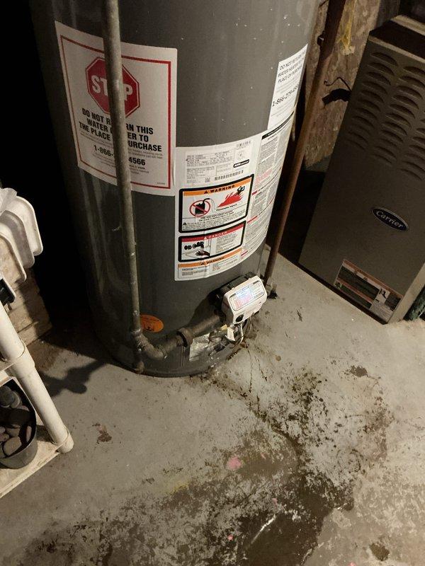 Responded to hot water issue affecting specific area of 115-year-old residence, ongoing for two weeks. Inspected 10-year-old Rheem tanked water heater in basement utility area. Evaluated unit connections, gas valve operation, and plumbing distribution system. Observed evidence of previous moisture issues on concrete floor surrounding water heater base. Assessed unit performance, verified proper gas supply, and examined hot water distribution piping to affected zones. Documented water heater condition and surrounding mechanical systems including adjacent HVAC equipment. Provided assessment findings and recommendations to homeowner.