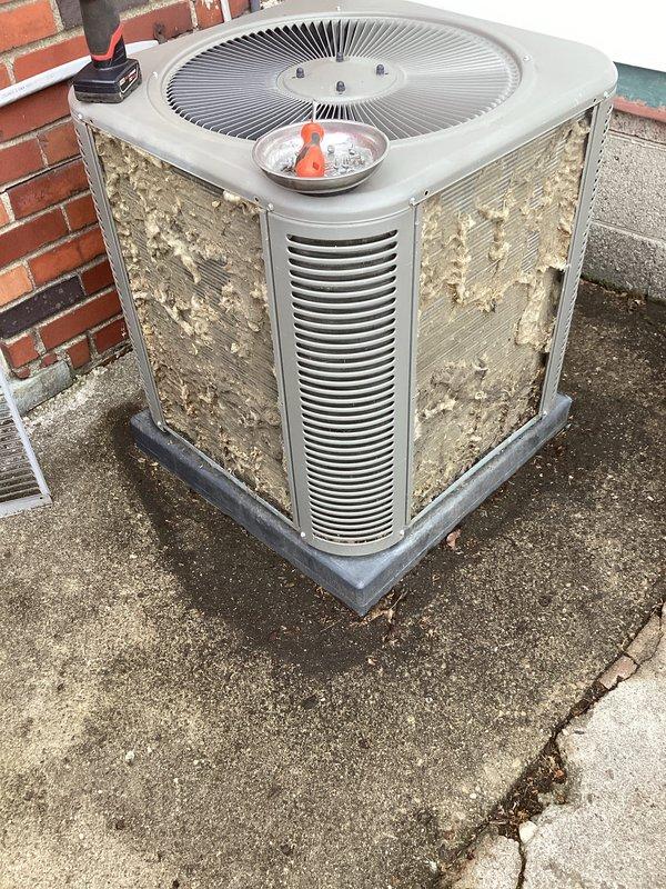 Completed annual cooling maintenance on outdoor condensing unit. Performed comprehensive system inspection, checked refrigerant levels and pressures, cleaned condenser coils, verified proper airflow through louvered panels, and confirmed operational status of all components. Unit operating within normal parameters despite exterior weathering and cosmetic deterioration of housing.