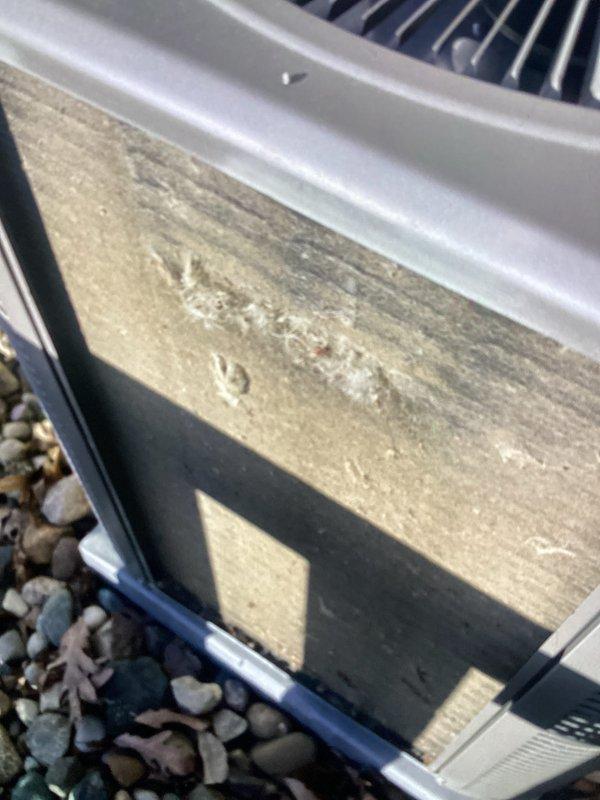 Completed Annual HVAC Checkup on residential air conditioning unit. Performed comprehensive system inspection including visual assessment of condenser unit exterior, fan assembly, and housing components. Unit found in operational condition with normal seasonal weathering present on exterior surfaces. Documented equipment condition through photographic records showing fan blades, ventilation slats, and overall unit integrity for maintenance history.