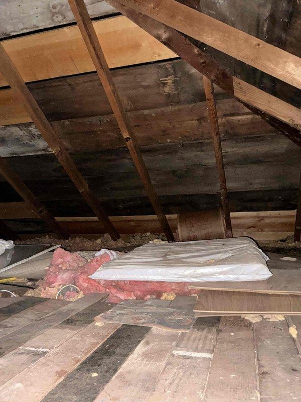 Conducted comprehensive site assessment for complete HVAC system installation in small cottage with no existing heating or cooling infrastructure. Performed detailed attic inspection to evaluate structural conditions, available space constraints, and installation feasibility for new furnace and air conditioning system. Documented existing attic conditions including exposed rafter system, aged wooden decking with moisture staining, displaced fiberglass insulation, and current electrical utility placement. Assessed structural capacity, insulation requirements, and optimal equipment placement options for ductwork routing and system installation. Provided full system estimate covering heating and cooling equipment installation to bring property up to modern comfort standards.