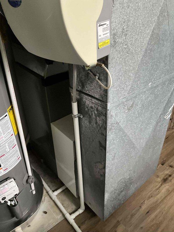 Conducted comprehensive on-site evaluation of 29-year-old Heil HVAC system for full replacement estimate. Assessed existing equipment configuration including air handler unit, furnace, and associated ductwork in residential utility closet installation. Documented current system condition showing significant age-related wear, dust accumulation, and outdated components. Photographed complete mechanical setup including vertical air handler with multiple service labels, green furnace unit with control interface, flexible metal ductwork, white PVC condensate drainage lines with visible primer markings, and corrugated refrigerant line connections. Evaluated spatial constraints and existing infrastructure for replacement planning. Provided detailed quote for complete HVAC system replacement to address outdated equipment and improve efficiency.