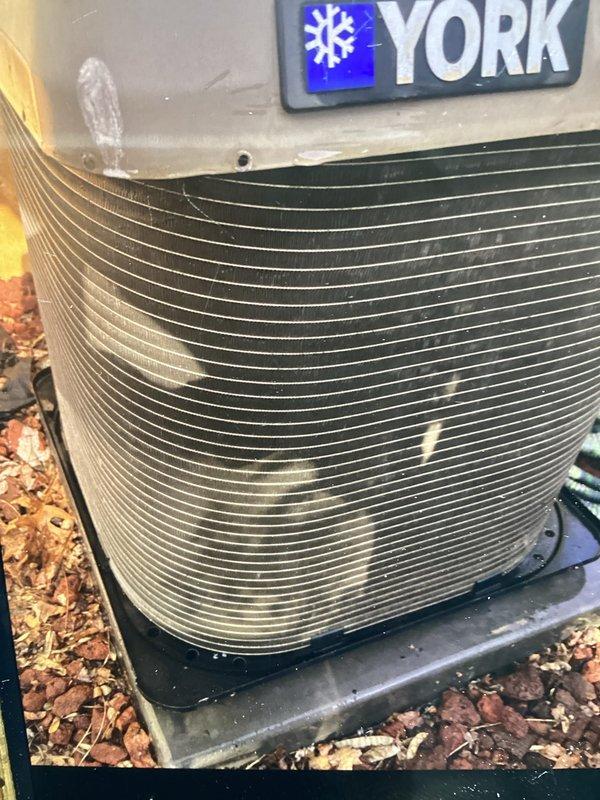 Completed annual cooling maintenance on York outdoor condensing unit. Performed comprehensive system inspection, verified proper operation of all components, and documented unit condition with photographic evidence. Condenser coils showed normal accumulation of outdoor debris; unit positioned on proper pad with adequate clearance and operating within manufacturer specifications.