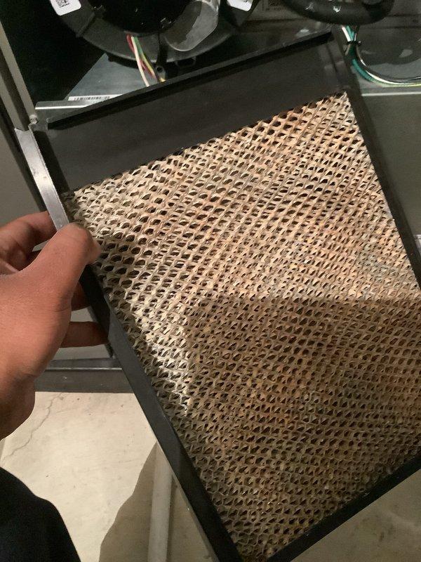 Completed annual heating and cooling maintenance on residential HVAC system. Performed comprehensive inspection of furnace components including gas valve, blower motor assembly, heat exchanger, and electrical connections. Inspected evaporator coil and noted mineral buildup and contamination on evaporator cooler pad, indicating need for replacement during next service. Verified all wiring connections secure, checked condensate drain system operation, and confirmed proper airflow through unit. All system components operating within manufacturer specifications at time of inspection.