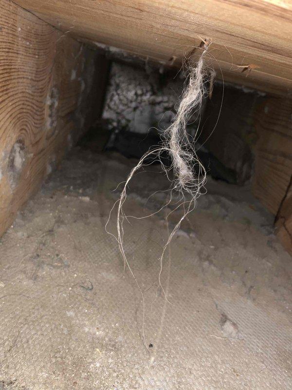 Completed full system estimate for replacement of 16-year-old furnace and air conditioning system. Inspected existing HVAC equipment, evaluated attic space conditions including insulation and structural access points, and assessed electrical panel capacity for new system installation. Documented current system configuration and provided comprehensive replacement options to meet customer's timeline of replacement within the next couple weeks.