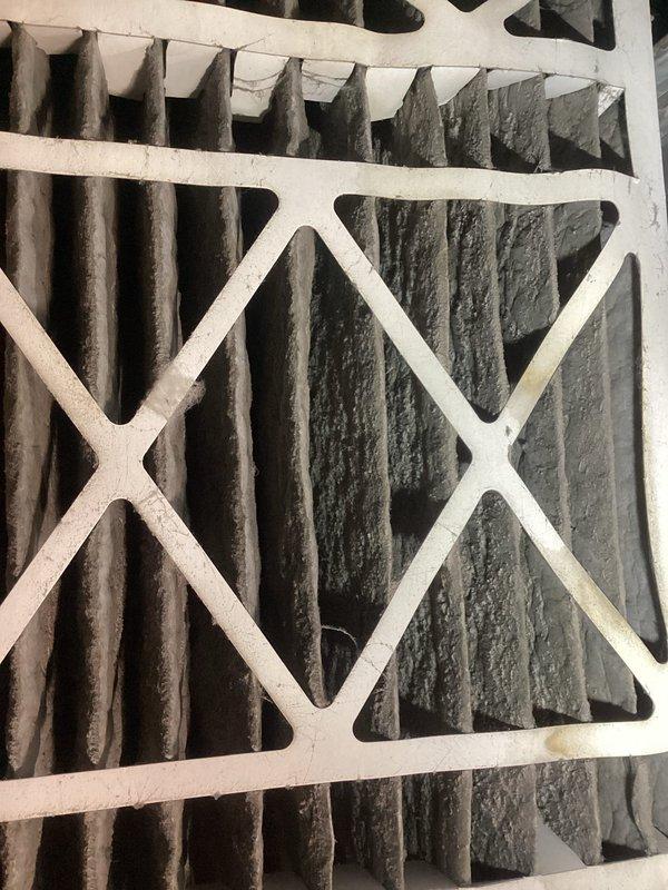 Responded to no heat call on forced air furnace system. Upon arrival, confirmed furnace was firing and heating but blower motor was not operating. Inspected blower assembly and found heavily soiled air filter with significant dust and debris accumulation restricting airflow. Checked blower motor, capacitor, and electrical connections - all components tested within normal operating parameters. Replaced extremely dirty pleated air filter with new filter. Verified blower motor operation and proper airflow through system. Cycled unit through complete heating cycle to confirm normal operation. System now heating properly with blower functioning as designed.