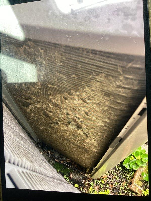 Completed annual preventative maintenance on residential cooling system. Evaporator coil showed heavy accumulation of dust and debris throughout heat exchange surfaces, with biological growth present in drain pan area. Thoroughly cleaned and inspected all components per manufacturer specifications to restore system efficiency and proper operation.