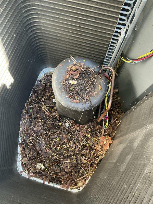 Performed annual maintenance on outdoor air conditioning condenser unit. Removed protective casing to access internal components and discovered heavy accumulation of leaves, twigs, pine needles, and organic debris throughout the unit, including substantial buildup on compressor housing and surrounding areas. Thoroughly cleaned all debris from condenser coils, compressor assembly, and interior compartment to restore proper airflow and prevent potential performance issues. Inspected electrical connections and verified unit integrity before reassembly.