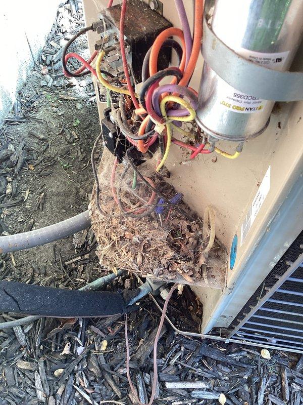 Responded to service call for 20-year-old outdoor A/C unit not cooling properly. Upon arrival, found significant debris accumulation around condenser base including leaves, grass clippings, and organic material restricting airflow. Observed exposed and disorganized electrical wiring at contactor with multiple wire loops present. Cleared all debris from around unit perimeter and base. Inspected condenser coils, electrical connections, and condensate drain line. Unit located on concrete pad against brick exterior wall with adequate clearance from surrounding vegetation. Performed diagnostic evaluation and discussed findings with homeowner regarding system age and performance concerns. No warranties apply to parts or labor on this legacy equipment.