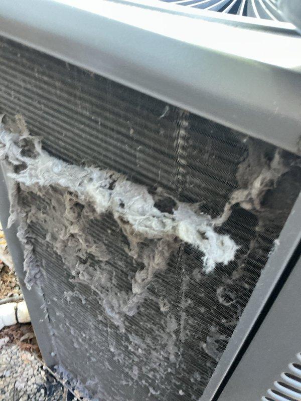 Returned to complete scheduled ACM (air conditioning maintenance) that could not be finished during previous visit. Performed thorough inspection and cleaning of outdoor condenser unit, which showed heavy accumulation of cottonwood seeds, lint, and debris throughout the coil fins. Cleaned heat exchanger coils to remove fibrous buildup that was restricting airflow and reducing system efficiency. Unit restored to proper operating condition with improved airflow through condenser coils.