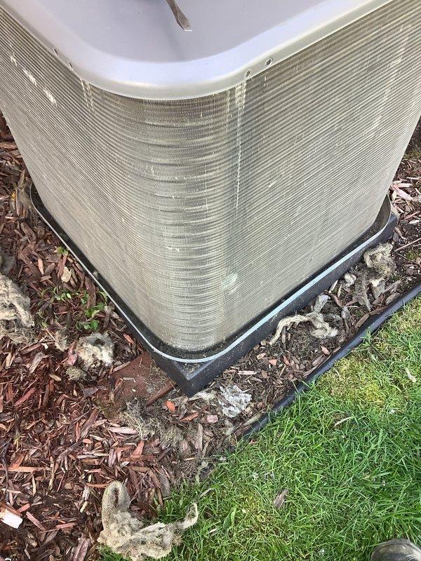 Completed annual comprehensive maintenance on residential outdoor condensing unit. Performed thorough inspection of heat exchanger coils, which displayed environmental buildup and oxidation on exterior surfaces. Evaluated condenser fins for damage and proper alignment, noting corrugated pattern remained intact. Assessed unit housing showing significant accumulation of dirt, debris, and organic material requiring attention. Verified proper positioning on concrete pad with protective base barrier. Documented unit condition through photographic records. Customer enrolled in residential maintenance agreement program and acknowledged no performance guarantees on existing equipment condition.