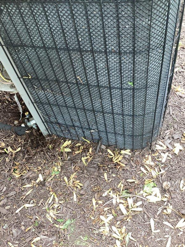 Completed annual cooling maintenance on residential outdoor air conditioning condenser unit. Performed comprehensive system inspection, documenting unit condition with photographic records showing beige cabinet with cylindrical fan assembly, protective mesh grilles, and electrical conduit connections. Unit operational with normal wear consistent with outdoor exposure; mulch and debris cleared from perimeter to maintain proper airflow clearance.