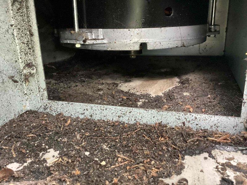 Responded to service call for Kohler generator that failed to start during power outage. Upon arrival, discovered significant debris accumulation throughout the generator cabinet, including decomposed organic matter, soil, twigs, and plant material that had collected over an extended period. The debris had infiltrated critical compartments and surrounded key components including the blower housing and motor assembly. Thoroughly cleaned all affected areas, removing accumulated dirt, leaves, and organic debris from interior compartments, base channel, and surrounding concrete pad. Inspected electrical components and connections for damage or contamination caused by debris infiltration. Verified proper operation of all mechanical systems and conducted startup test to confirm generator functionality was restored.
