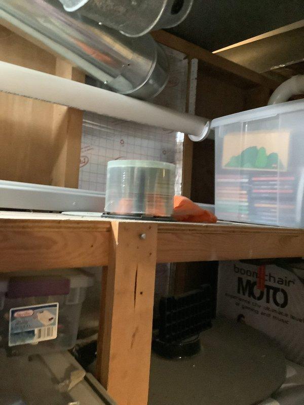 Conducted follow-up inspection to verify no active water leaking from furnace systems and assessed any damage from previous leak incident. Confirmed the system where leak was originally identified by technician was opposite from the system where occupant initially observed leaking, with no current leakage detected from either unit and no visible water damage to surrounding areas.