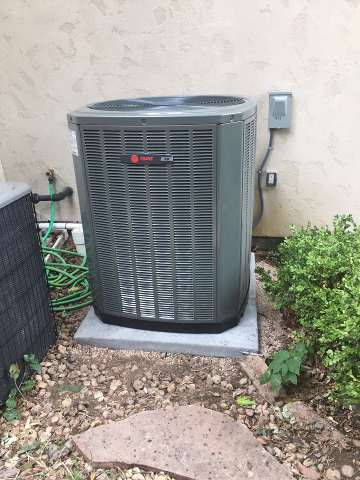 How to protect your home from mice