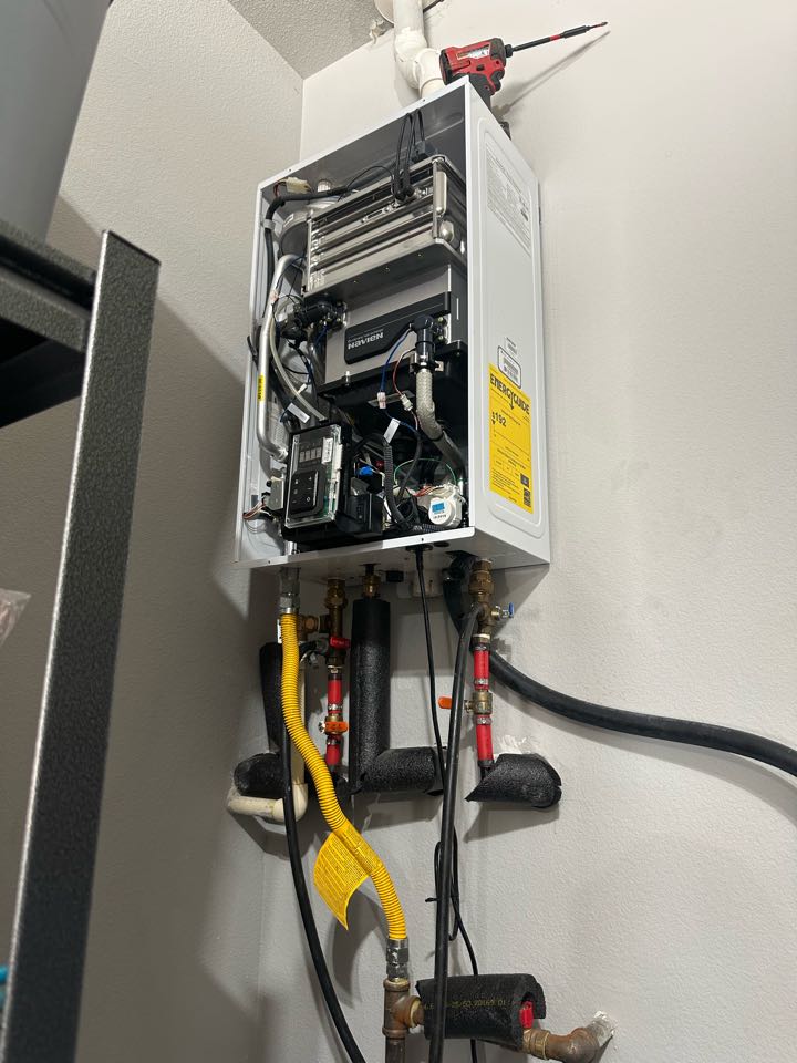 Navien tankless water flush 